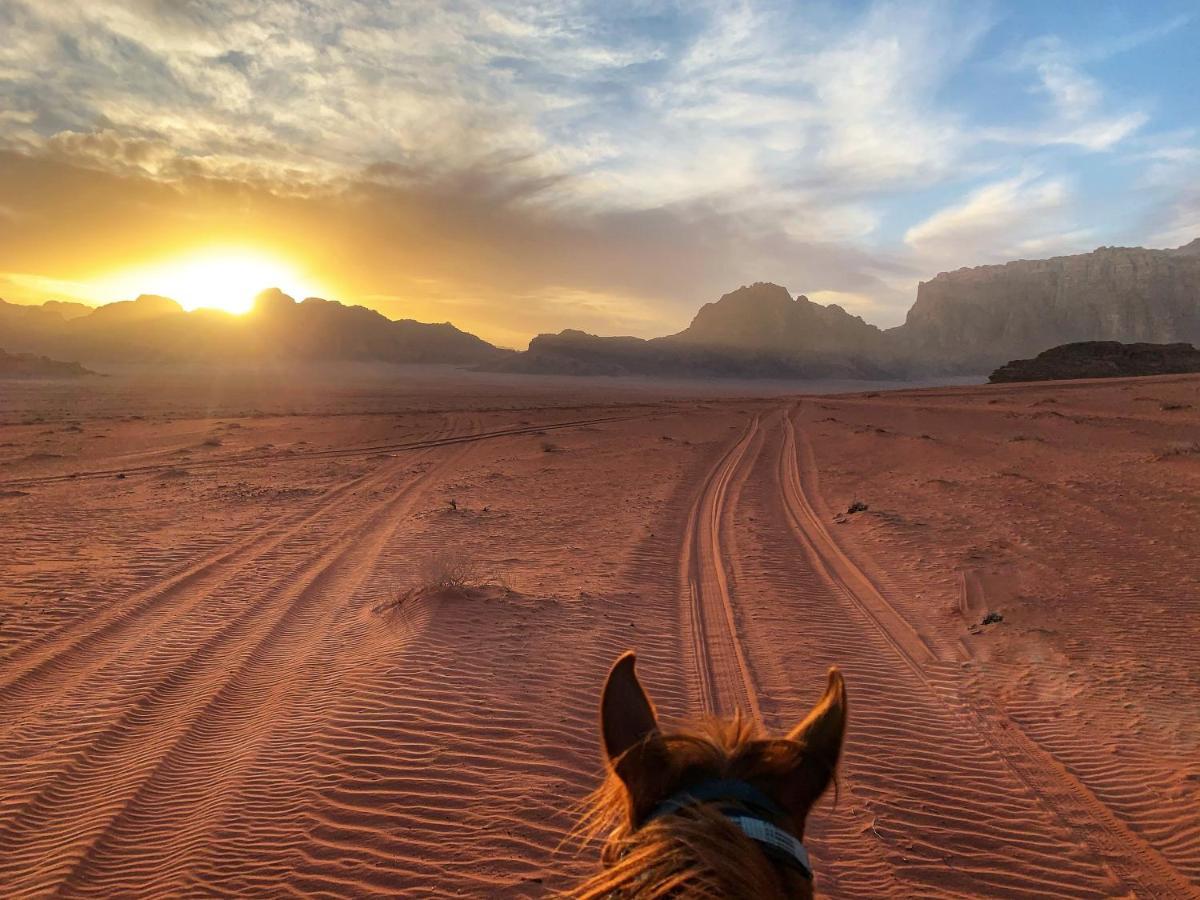 Wadi Rum Bedouin Tour With A Camp Екстериор снимка
