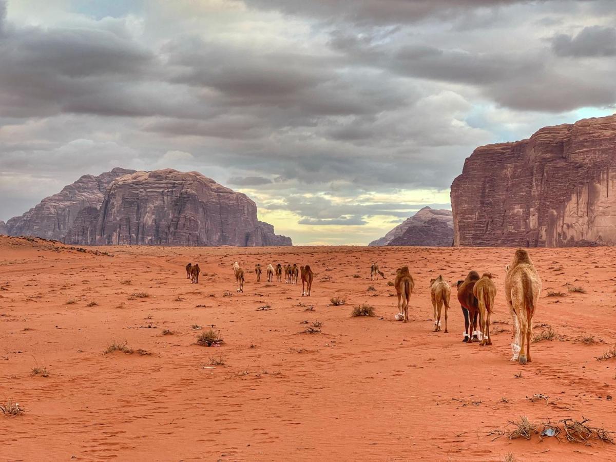 Wadi Rum Bedouin Tour With A Camp Екстериор снимка