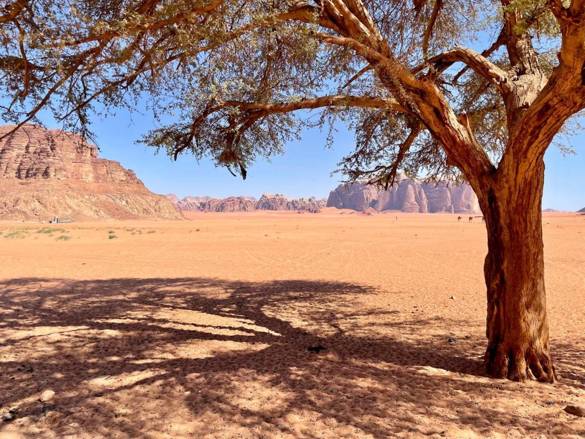 Wadi Rum Bedouin Tour With A Camp Екстериор снимка