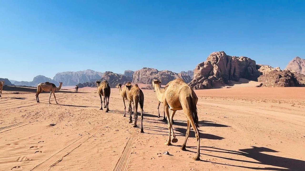 Wadi Rum Bedouin Tour With A Camp Екстериор снимка