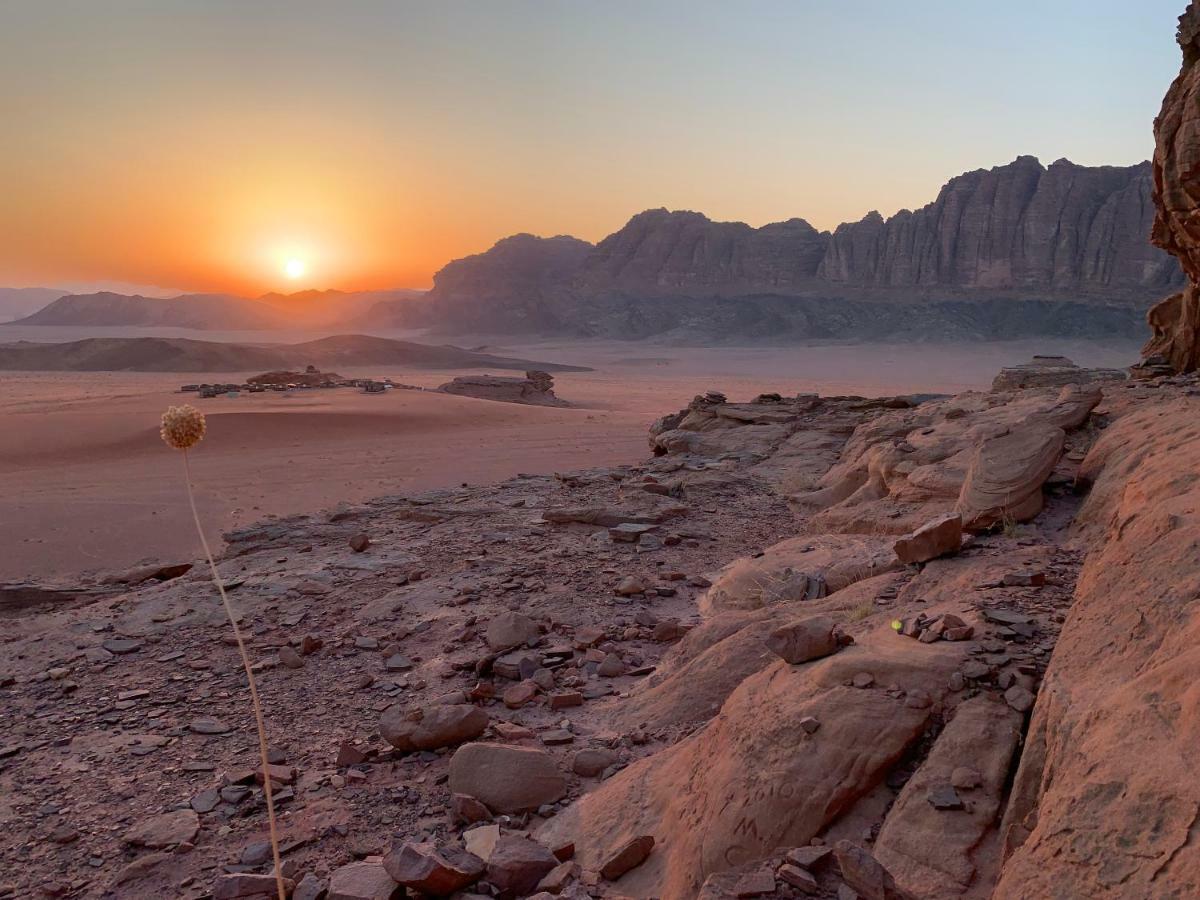 Wadi Rum Bedouin Tour With A Camp Екстериор снимка